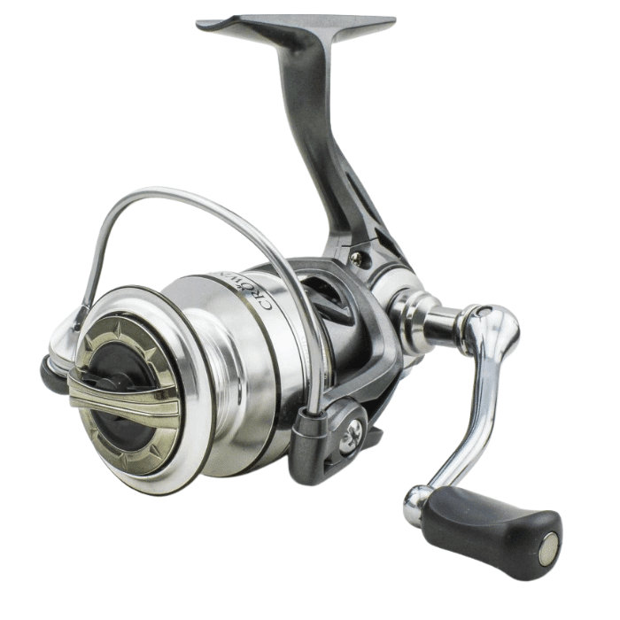 Sänger Crowny 5 Sänger Crowny – Bild 3