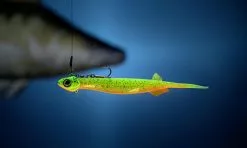 Quantum Pelagic Shad Set Pin-Tail - Gummifisch -Pilker Verkäufe 3460004 C2 769242 1280x1280