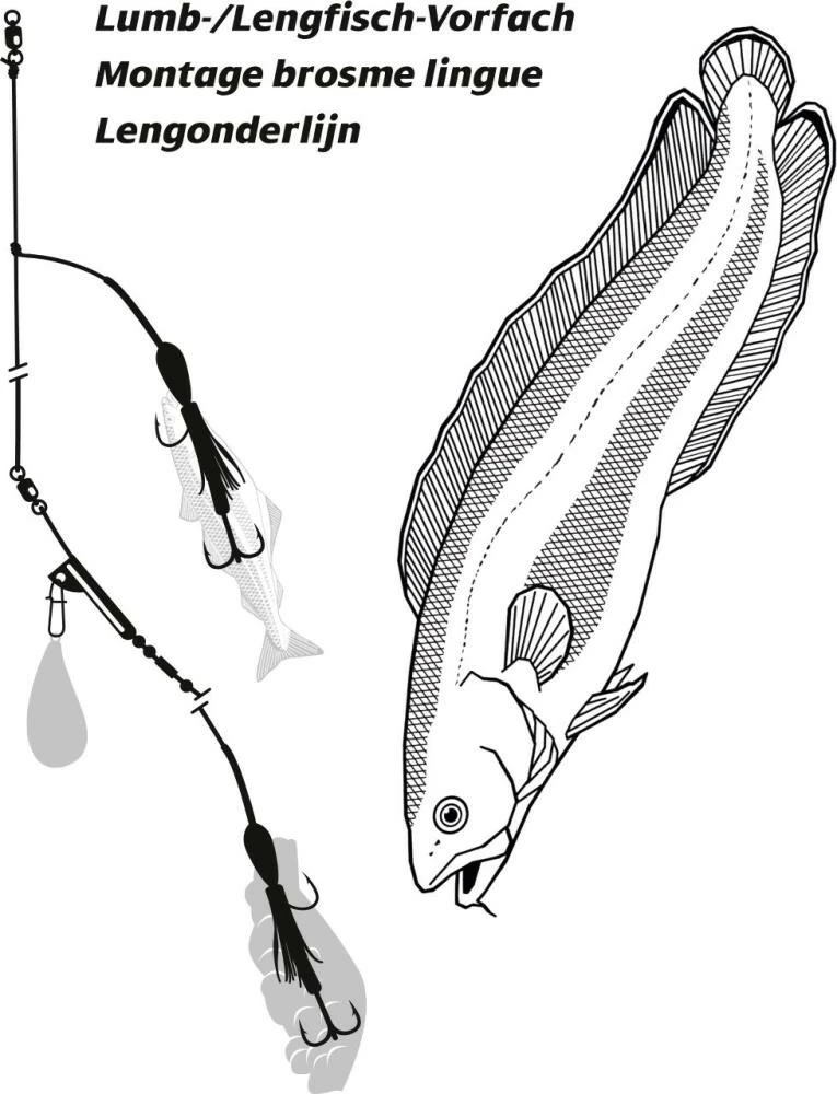 Rhino Lumb-/Leng-Vorfach Selbstleuchtend 4 Rhino Lumb-/Leng-Vorfach Selbstleuchtend – Bild 2