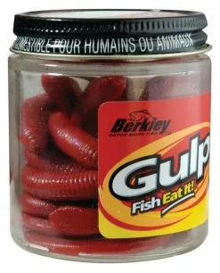 BERKLEY - Pure Fishing Berkley Gulp! Alive Nightcrawler - Tauwurm -Pilker Verkäufe Berkley Gulp Alive Nightcrawler Bloody 1126093nA91zwJMTbm7G 1280x1280