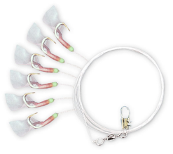 Zebco Heringsvorfach Lumo Haken -Pilker Verkäufe Zebco Heringsvorfach Lumo Haken 3446002lB5EWEB9xKrU1 1280x1280