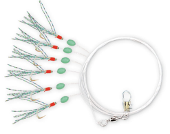 Zebco Heringsvorfach Lumo Haken -Pilker Verkäufe Zebco Heringsvorfach Lumo Haken 344600322Xsy9DgZCb5O 1280x1280