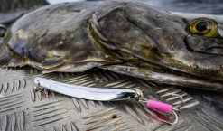 Rhino Chromat Pilker Bleifrei -Pilker Verkäufe resize img 2 764358 1280x1280